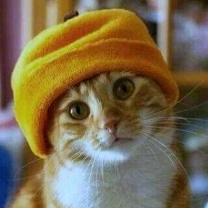 Meet your Posher, Howie